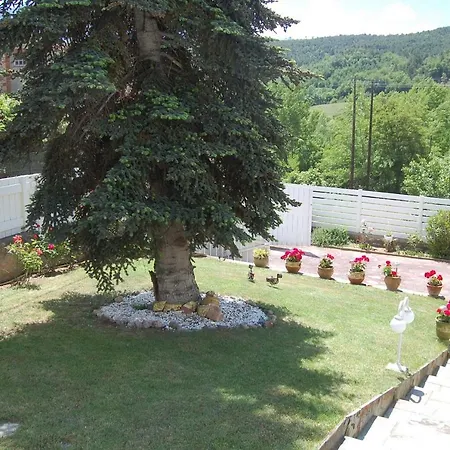 Du Pont Bed and Breakfast *